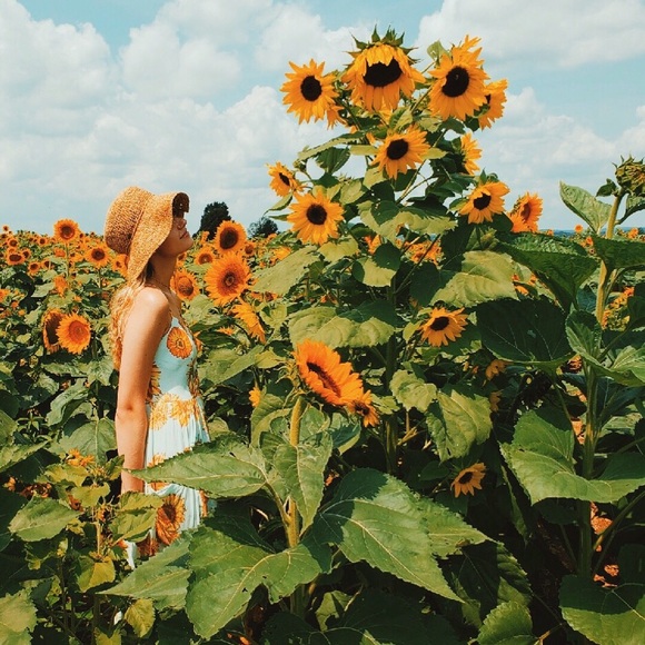 Meet your Posher, Lindsay - Picture 1 of 1